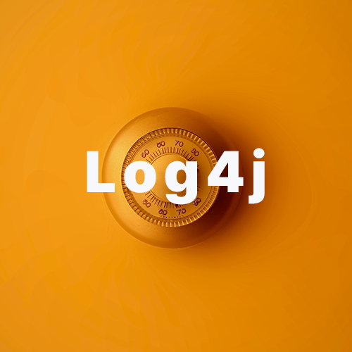 Log4j / Log4Shell